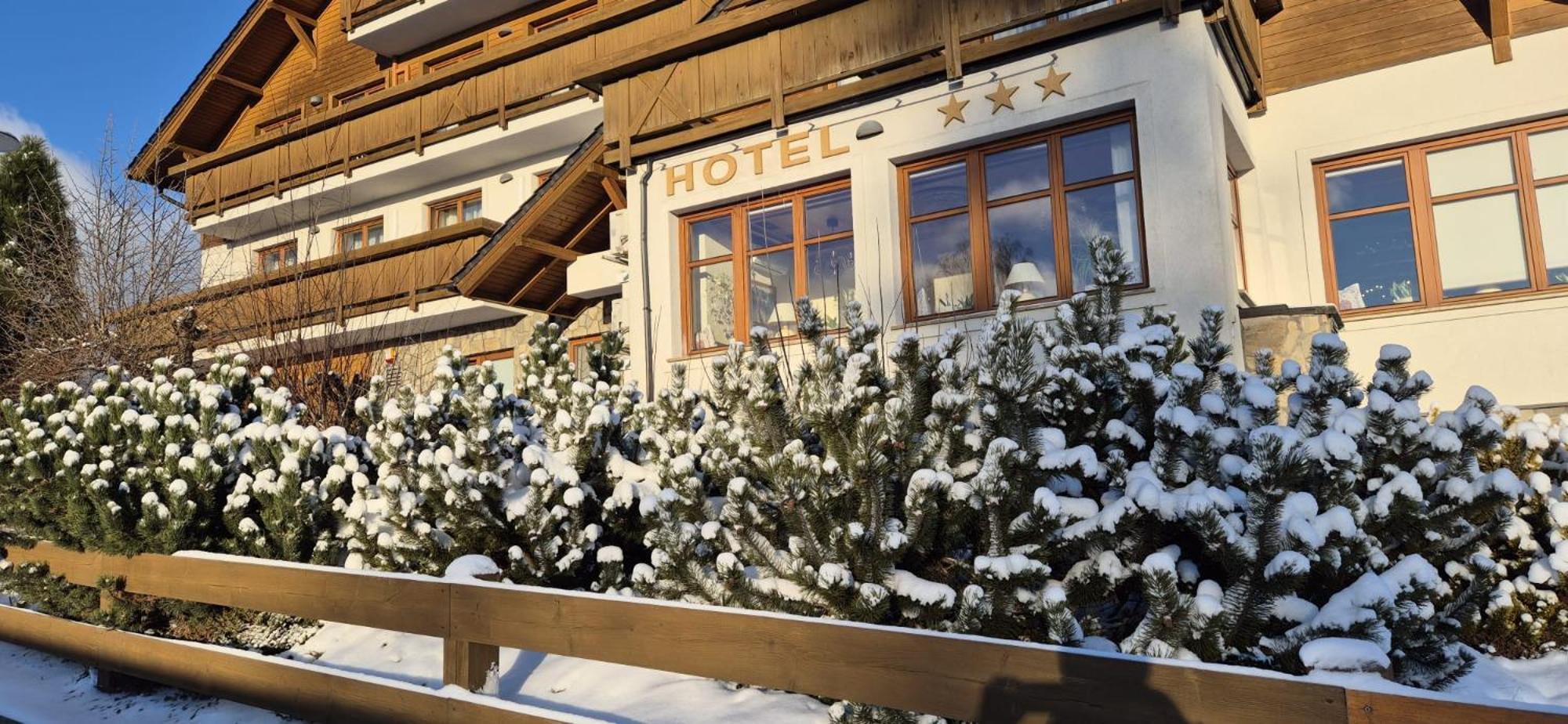 Hotel Alpejski Polanica-Zdrój Exteriér fotografie